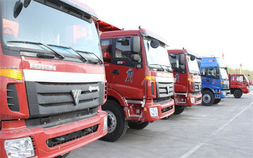 樂清柳市至奎屯市專業(yè)物流托運(yùn)專線服務(wù)詳解